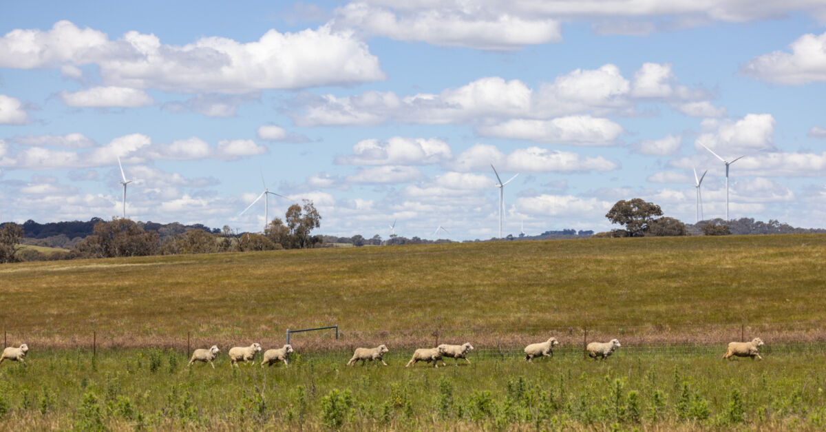 News – Firmed renewables backed by latest Integrated System Plan