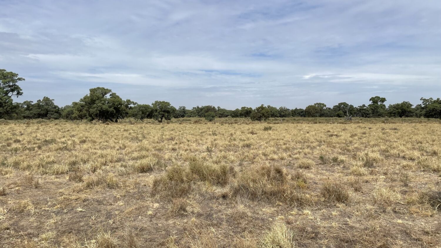 Conargo Wind Farm landscape