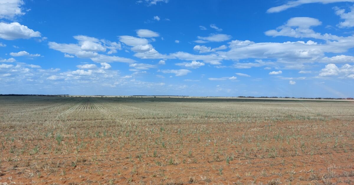 Koorakee Energy Park Squadron Energy