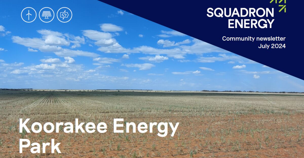 News – Koorakee Energy Park Community Newsletter - July 2024