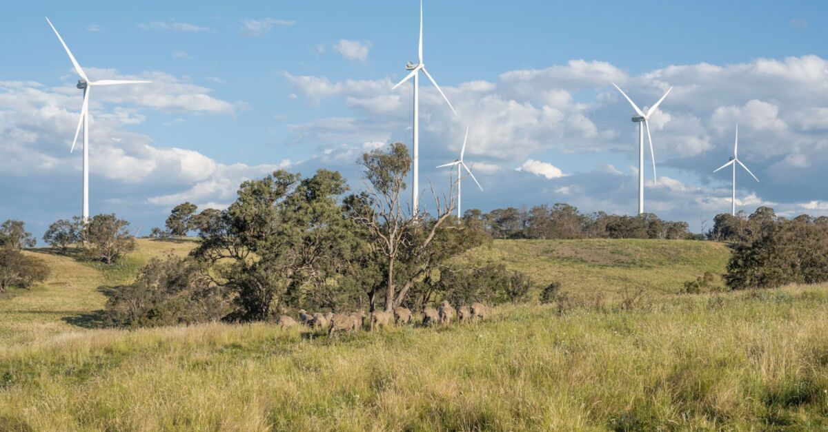News – Caring for our environment - Clarke Creek Wind Farm