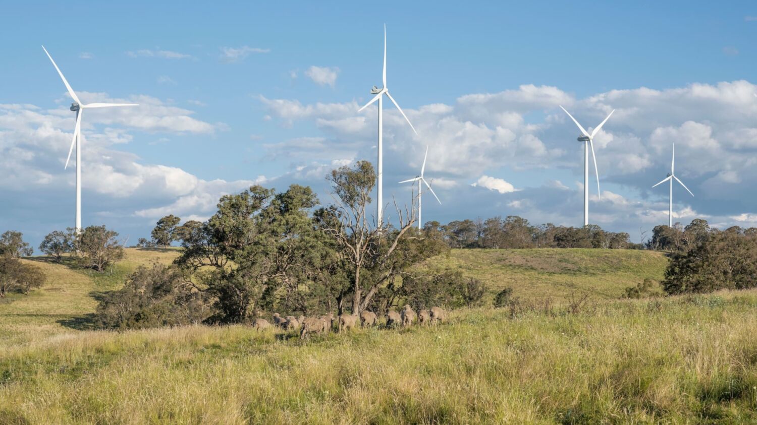 CWP Sapphire Wind Farm JOW 201111 7085