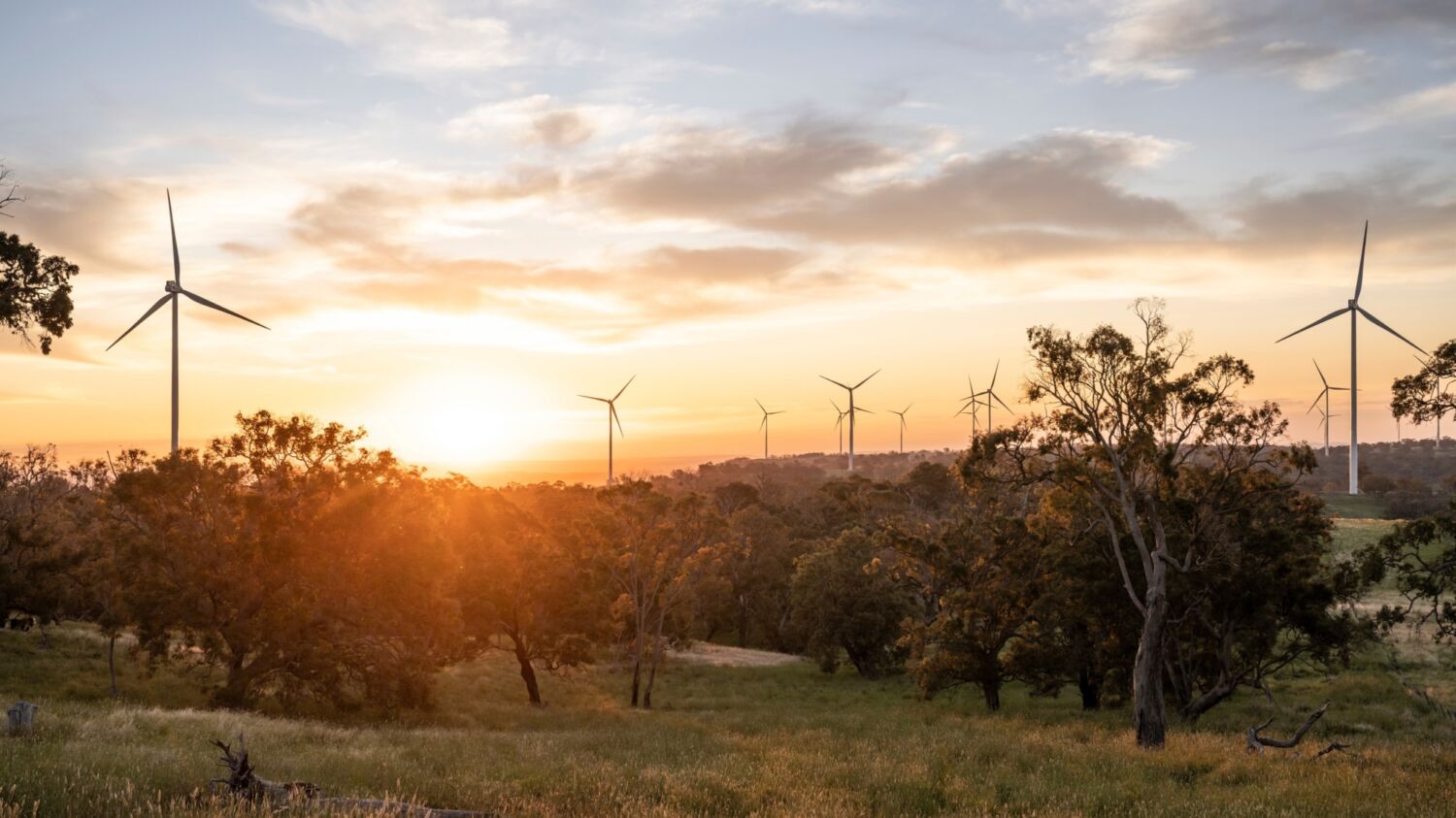 CWP Sapphire Wind Farm JOW 201111 7161 1